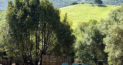 Maison typique Corse en pleine nature