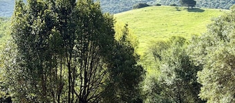 Typical Corsican house in the heart of nature