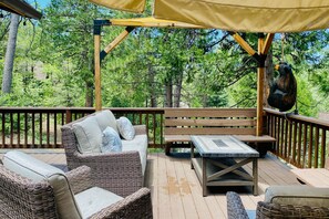 Property grounds - Adorable cabin in the trees near hiking & town w/ deck & high-speed WiFi (Idyllwild)