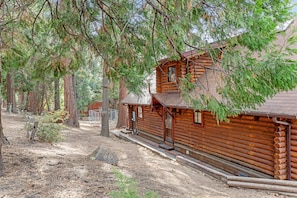 A rustic log cabin with a wooden porch, surrounded by tall pine trees. - Dog-friendly cabin in the woods with WiFi, wood stove, and private washer/dryer (Idyllwild)
