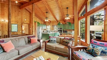 Smart TV, fireplace, DVD player, books