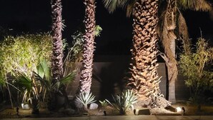 A nighttime view of a landscaped area with palm trees and a water feature. - Mid-Century Jack LaLanne home with pool, spa & firepit (Palm Springs)