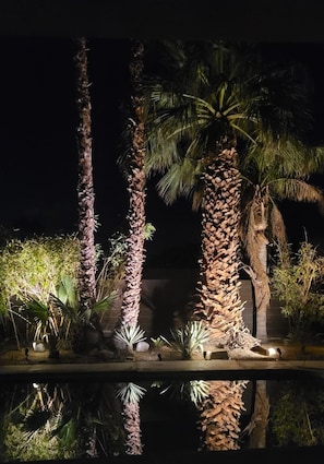 A nighttime view of a landscaped area with palm trees and a water feature. - Mid-Century Jack LaLanne home with pool, spa & firepit (Palm Springs)