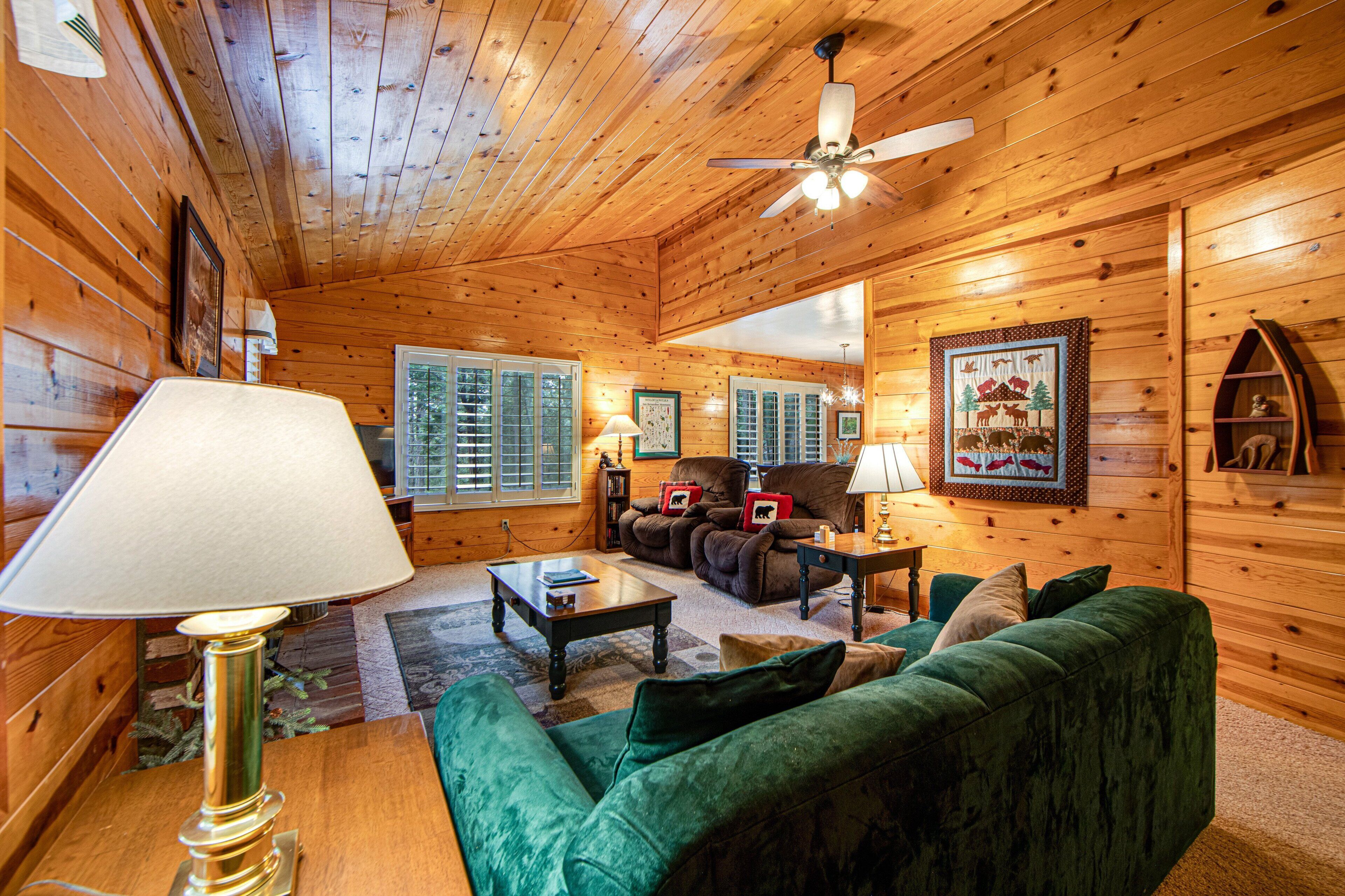 Smart TV, fireplace, DVD player, books