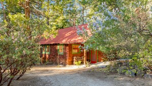 Un chalet rustique avec un toit rouge, entouré d’arbres et bordé d’une allée en gravier.