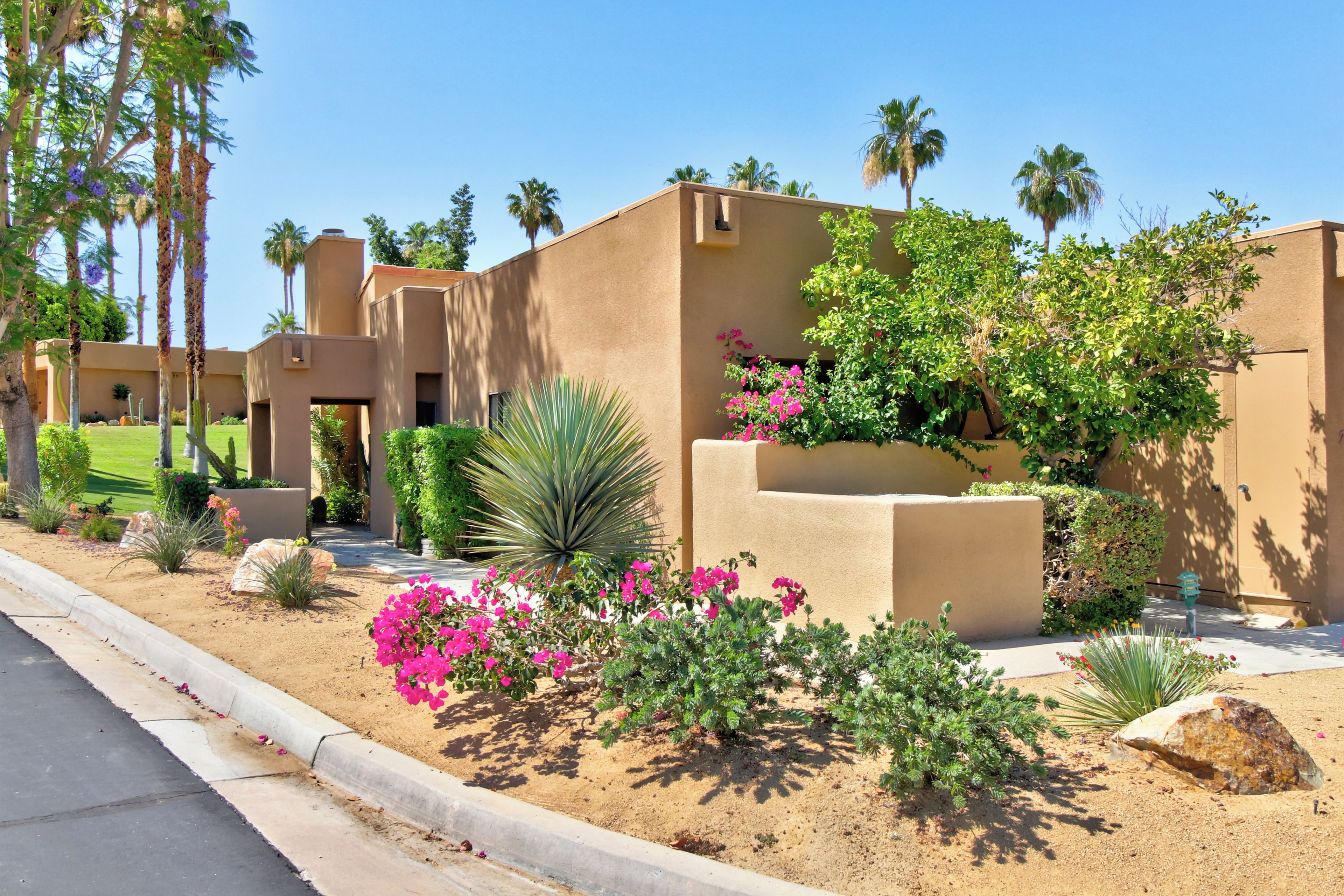 A desert-style building with stucco walls, palm trees, and flowering plants.