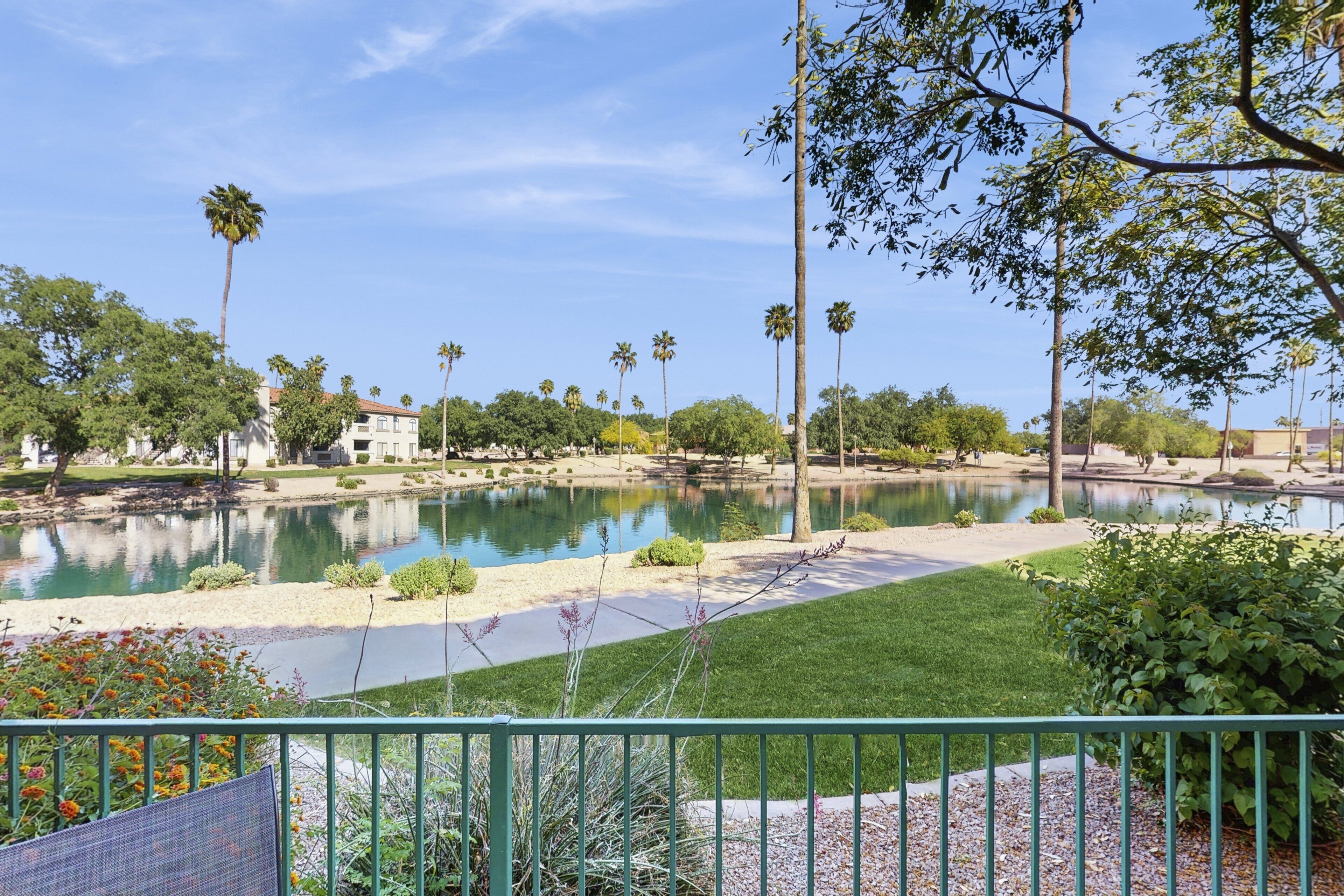 A landscaped area with a pond, palm trees, and a building in the background.