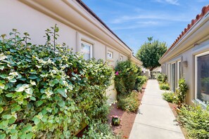 Une rue résidentielle bordée de maisons, avec un trottoir étroit et une végétation luxuriante.