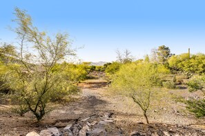 A desert landscape with a dirt path leading to a structure in the distance. - Dog-friendly, Cave Creek home with covered patio, hot tub & mountain views (Cave Creek)