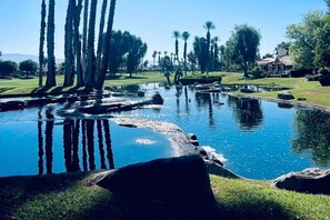 Property grounds - Charming condo with pool, hot tub, fireplace, wet bar, & W/D (Palm Desert)