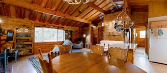 Dog-friendly rustic retreat with enclosed yard, grill, wood stove, games, & W/D
