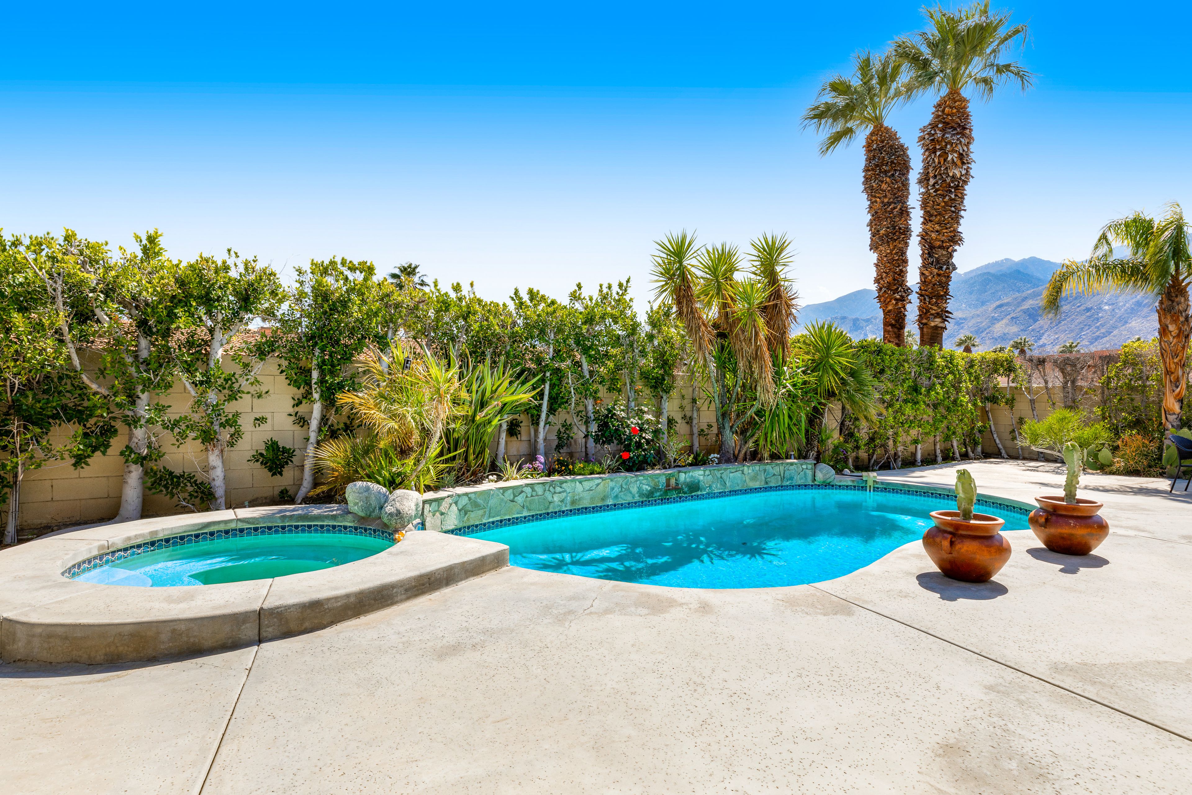 A swimming pool with a curved design, surrounded by palm trees and other greenery, with mountains in the background.