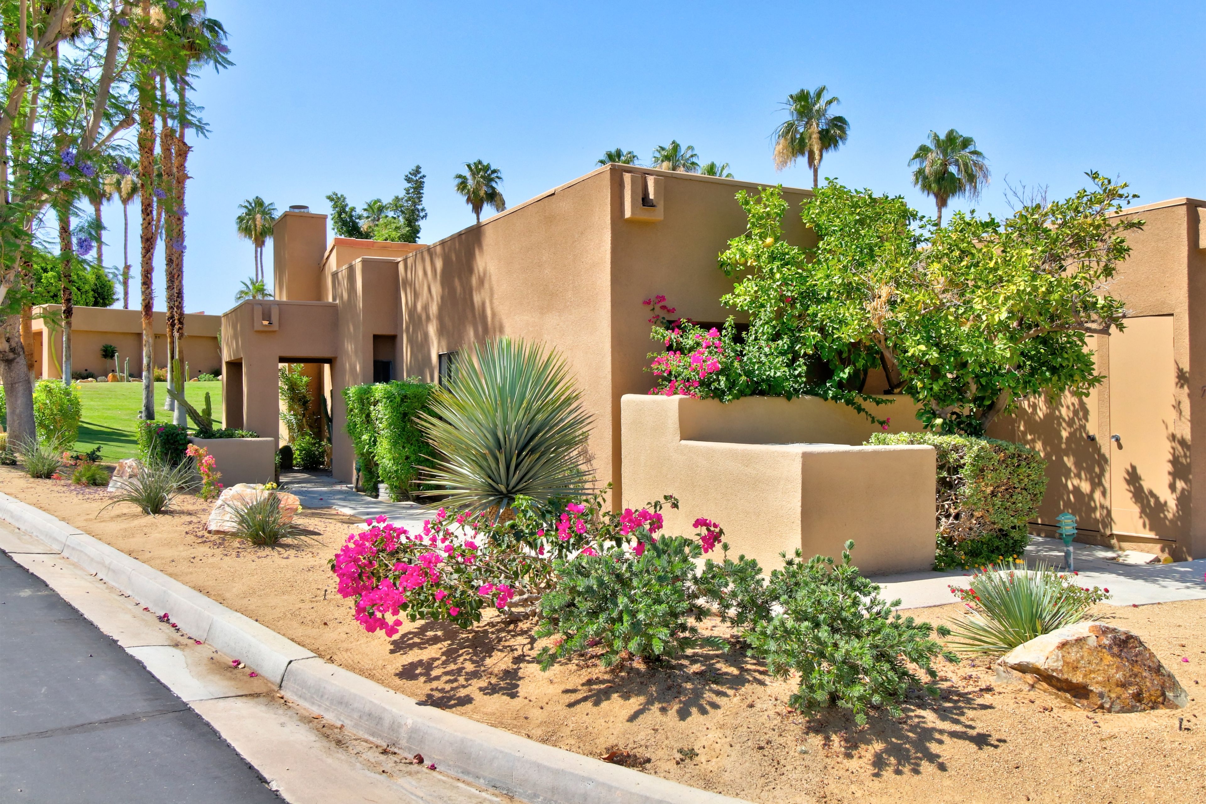 A desert-style building with stucco walls, a landscaped garden with cacti and flowering plants, and palm trees in the background.
