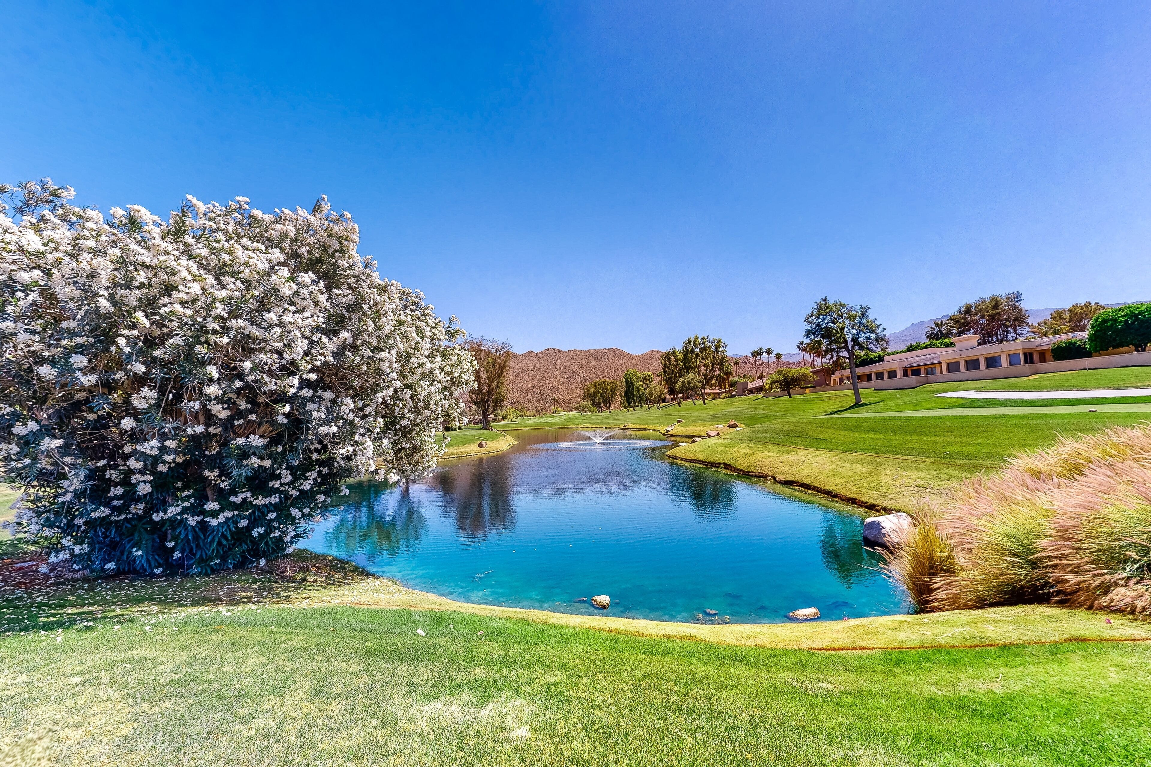 Un campo de golf tranquilo con un estanque, abundante vegetación y un cielo azul despejado.