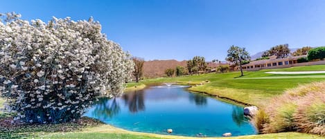 Un campo de golf tranquilo con un estanque, abundante vegetación y un cielo azul despejado.