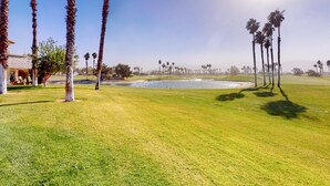 Un parcours de golf avec une pelouse parfaitement entretenue, des palmiers et un ciel dégagé.