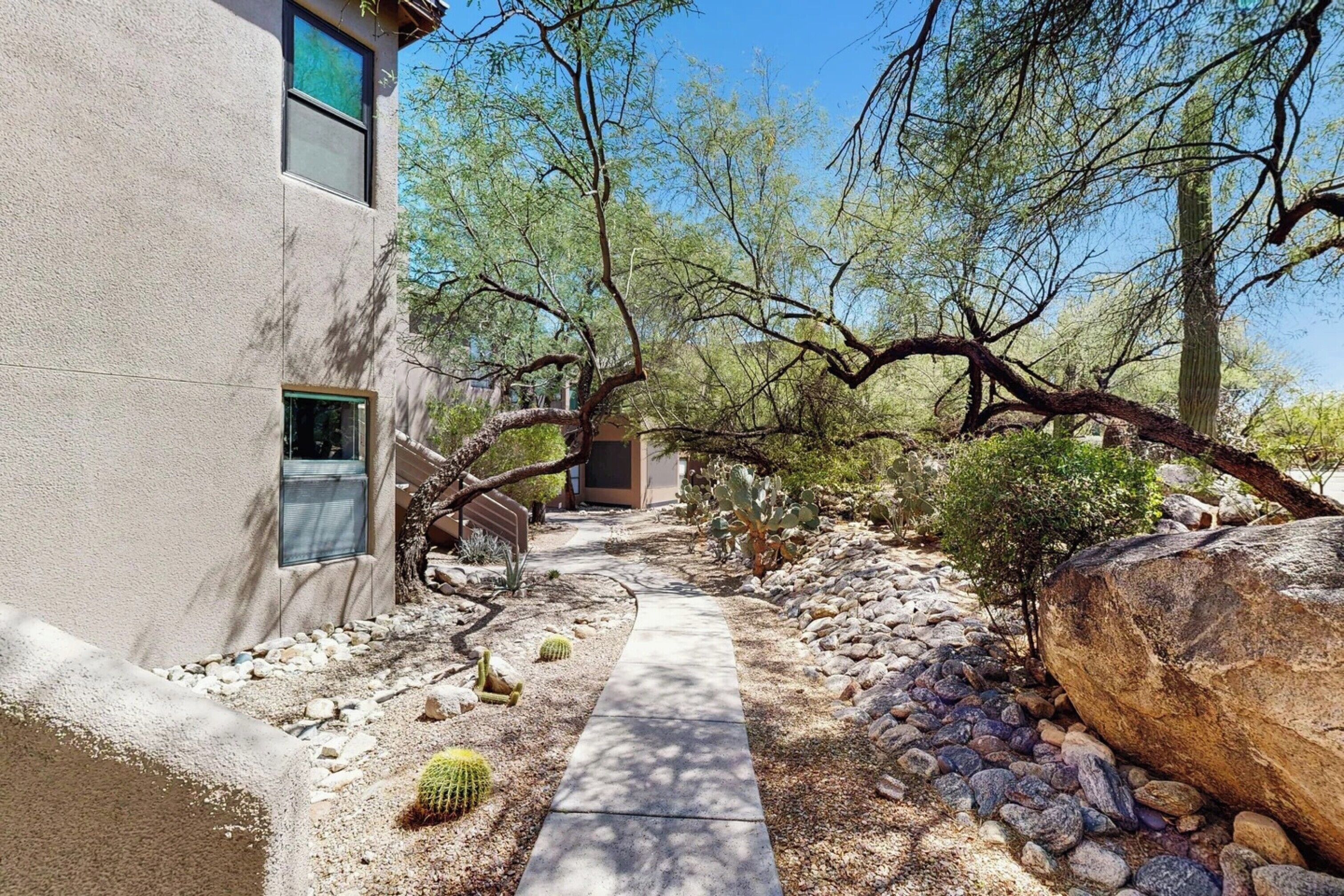 A pathway leading to a building with a desert garden, including cacti and a large rock.