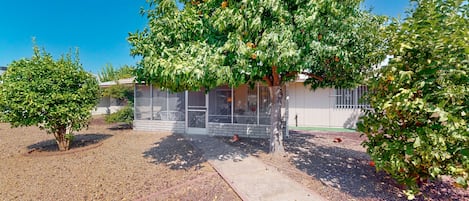 A building with a covered outdoor area, a gravel driveway, and a tree with green leaves and some orange fruits.