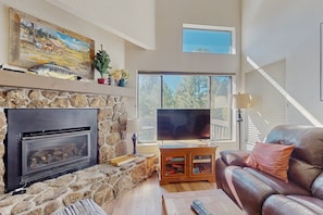 Smart-TV, Kamin