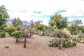A desert garden with various cacti and shrubs, a gravel path, and a mountain in the background. - Bright home in Sun City with large patio & on-site golf & swimming! (Oro Valley)