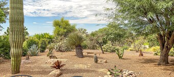 Bright home in Sun City with large patio & on-site golf & swimming!