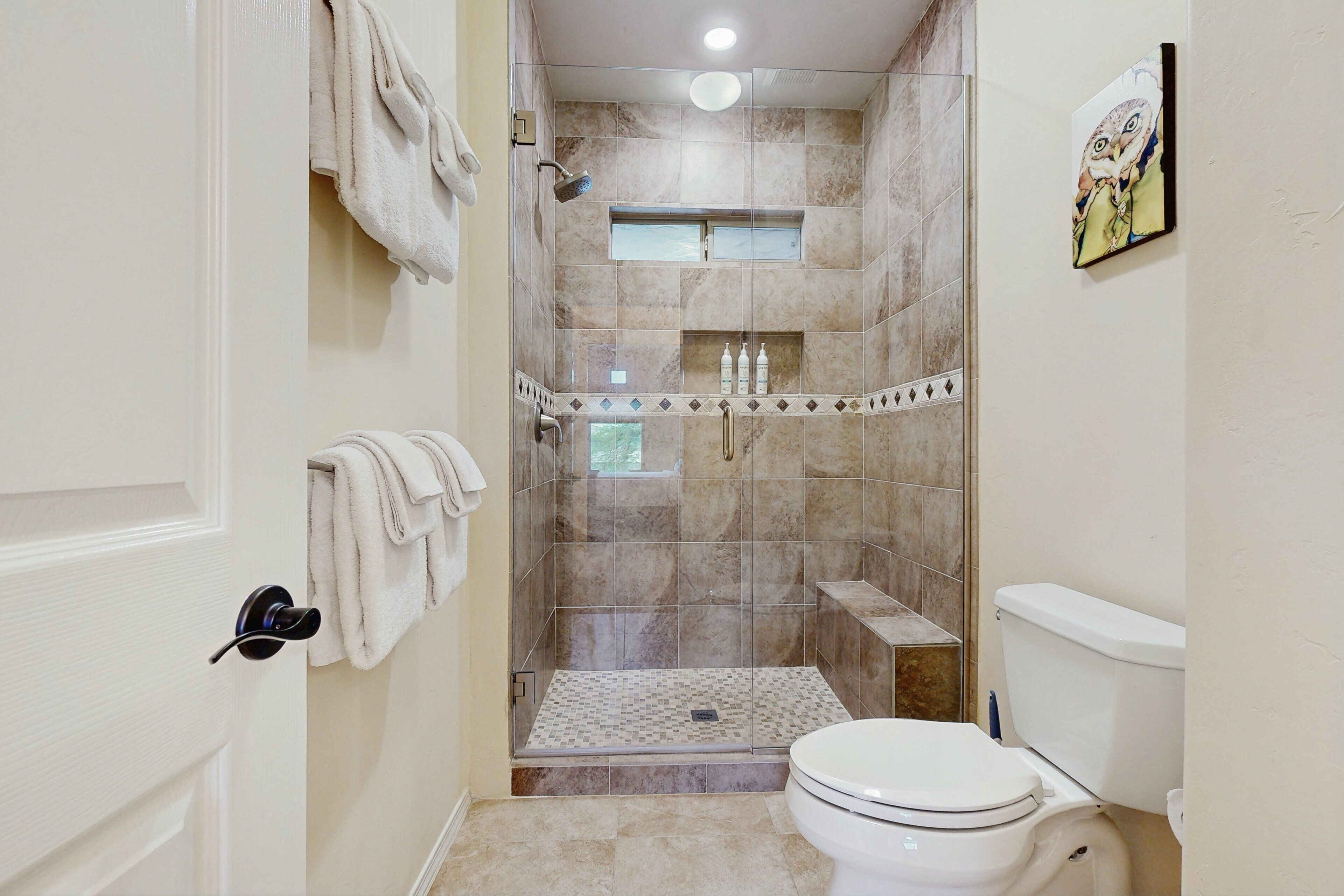 Shower, hair dryer, towels
