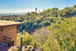 Property grounds - Lovely condo with desert views, on site golf, heated pool, & fitness center (Tucson)