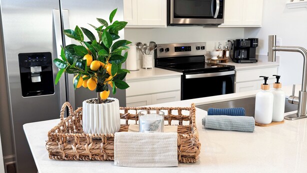 A modern kitchen with white cabinetry, stainless steel appliances, a central island with a woven basket, a potted plant, and a water dispenser. - Modern Coastal Townhouse Near Beach & DT - St. Augustine (St. Augustine)