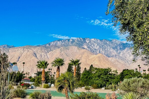 Sports court - Dog-friendly condo in gated community with on-site pool, hot tub, tennis & W/D (Palm Springs)