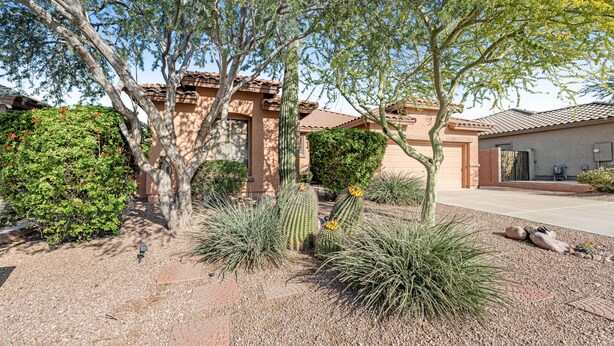 Zona residencial amb una casa que té teulada de rajola, jardí amb cactus i un carrer d'accés pavimentat.
