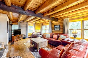 Smart TV, chimenea, reproductor de DVD y libros 