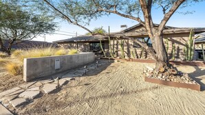 A desert-style house with a large tree in the front yard, a concrete planter, and cacti around. - Lovely, updated home with enclosed yard, fast WiFi, W/D, & mountain view (Scottsdale)