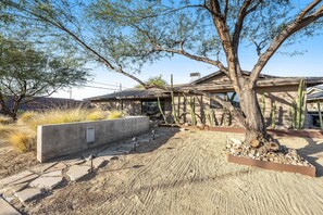 A desert-style house with a large tree in the front yard, a concrete planter, and cacti around. - Lovely, updated home with enclosed yard, fast WiFi, W/D, & mountain view (Scottsdale)