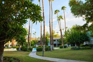 A pathway leading to a building with a pool, surrounded by palm trees and greenery. - Beautiful Condo minutes from downtown, shared pools, hot tub, tennis & golf (Palm Springs)