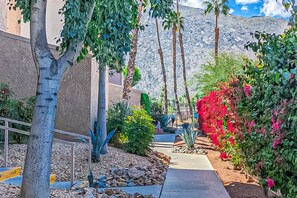 Property grounds - Mountain view condo blocks from downtown with pool, tennis & pickleball (Palm Springs)