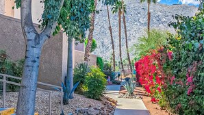 Un jardin aménagé avec une variété de plantes, un palmier et une montagne en arrière-plan.