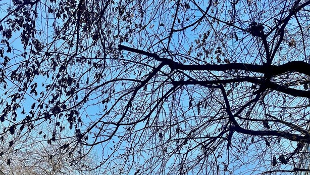 En moderne bygning med flere etager, en gårdsplads med en springvand og en klar blå himmel.
