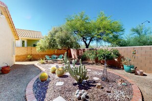 A garden with cacti and a tree, a brick wall, and a building with a tiled roof. - Dog-friendly desert home with mountain views, enclosed yard, grill, W/D, and AC (Oro Valley)