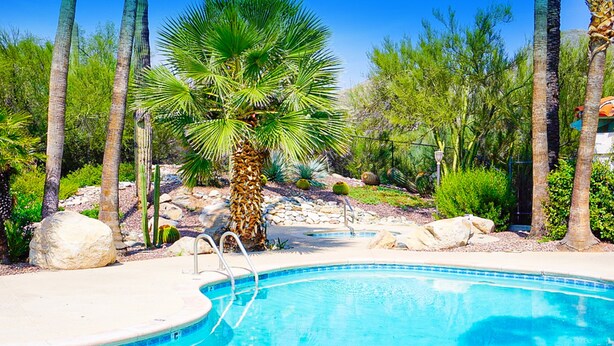Una piscina amb una palmera, envoltada de roques i diferents plantes.