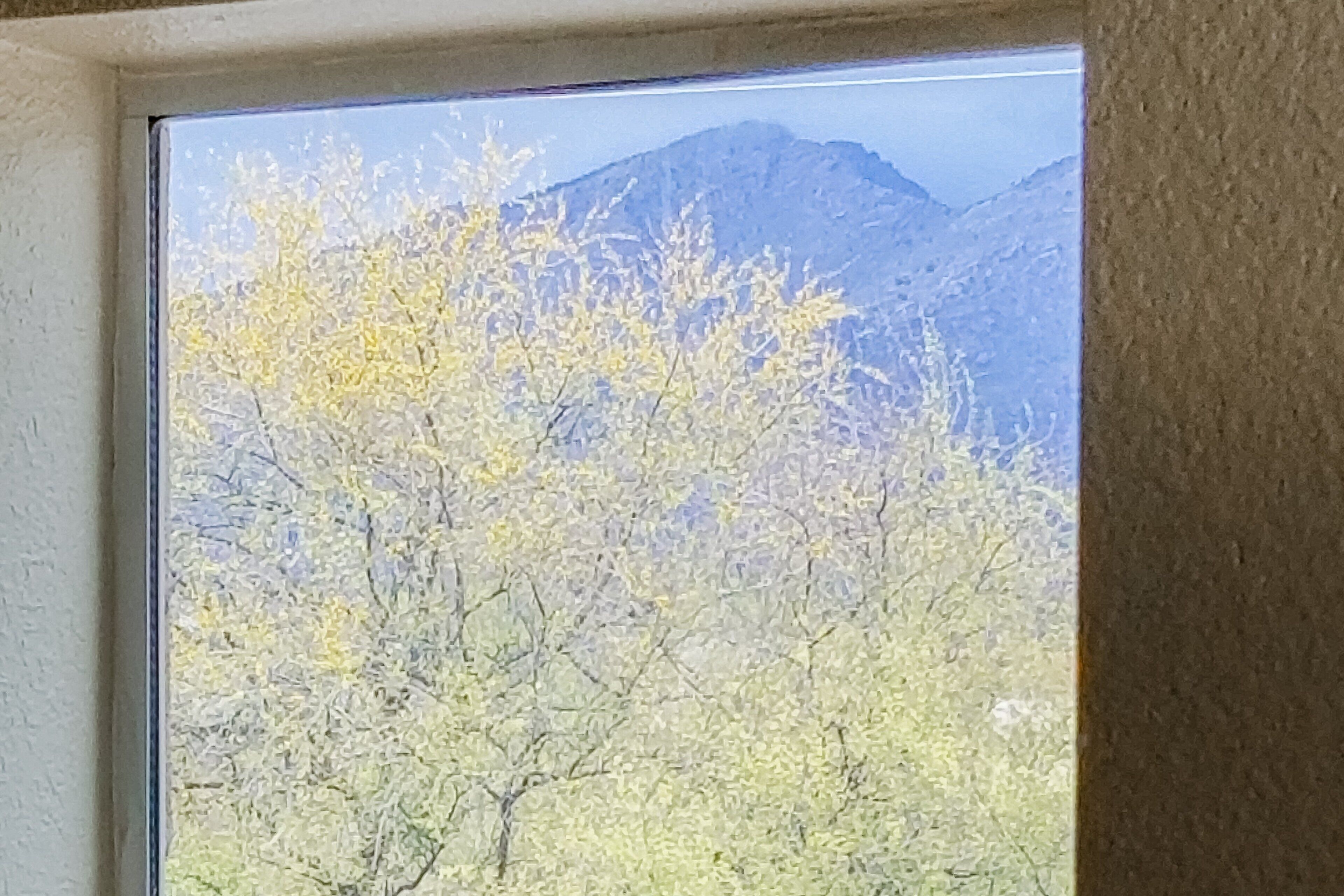 A window with a view of trees and mountains.