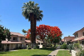 Property grounds - Inviting townhouse w/mtn. views,  community pools & spas-close to golf & hiking (Palm Springs)