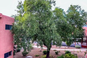 Property grounds - Quiet condo near Sabino Canyon with pool, hot tub, tennis & amazing views (Tucson)