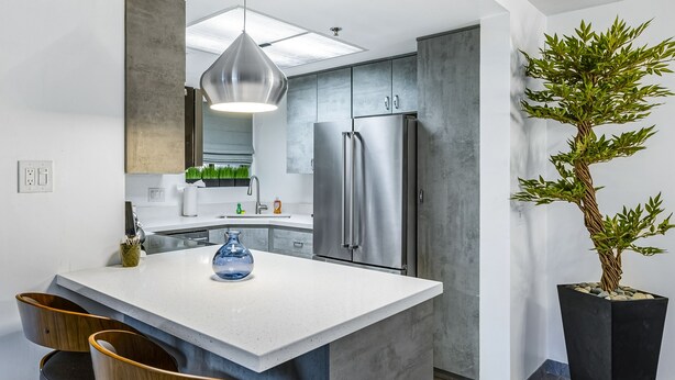 Een moderne keuken met een centraal kookeiland, roestvrijstalen apparatuur en een grote potplant.