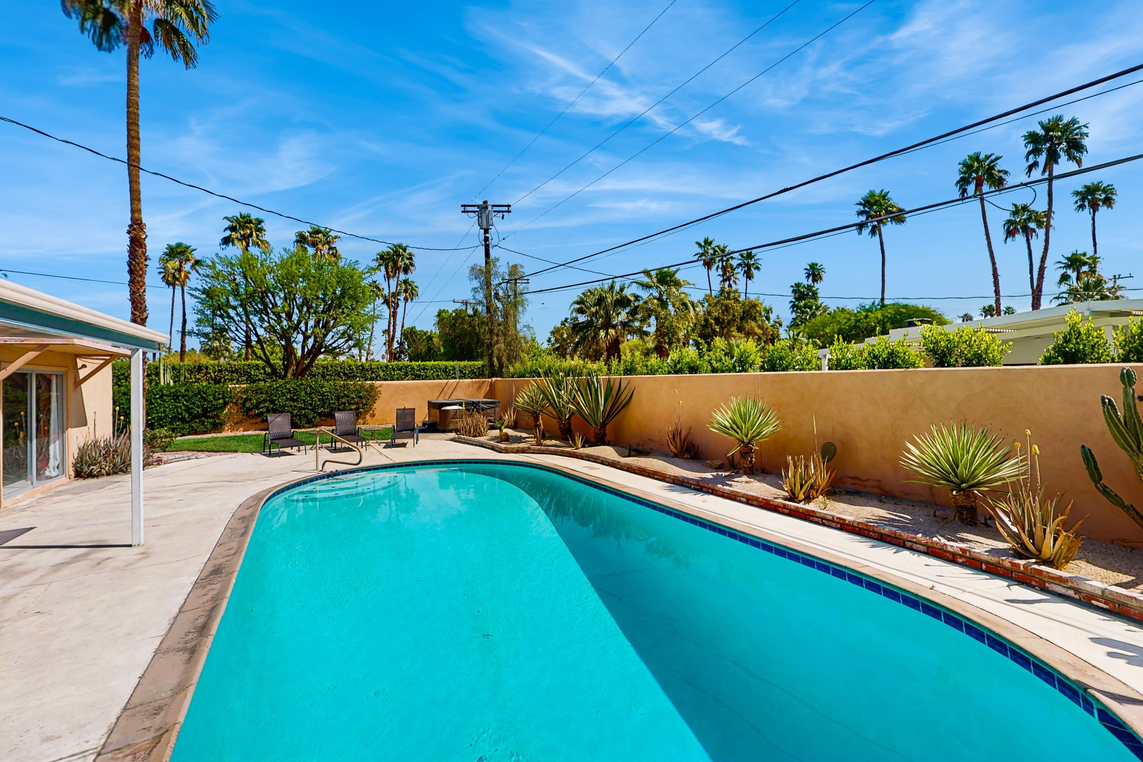 A curved swimming pool with a clear blue water, surrounded by palm trees and a beige wall.