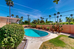 Ein Garten mit Swimmingpool, umgeben von Palmen und Kakteen.