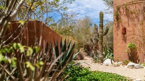 A desert garden with cacti and a brick wall. - 3 Bedroom with Pool & Mountain Views (Los Barriles)