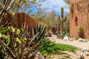 Property grounds - 3 Bedroom with Pool & Mountain Views (Los Barriles)