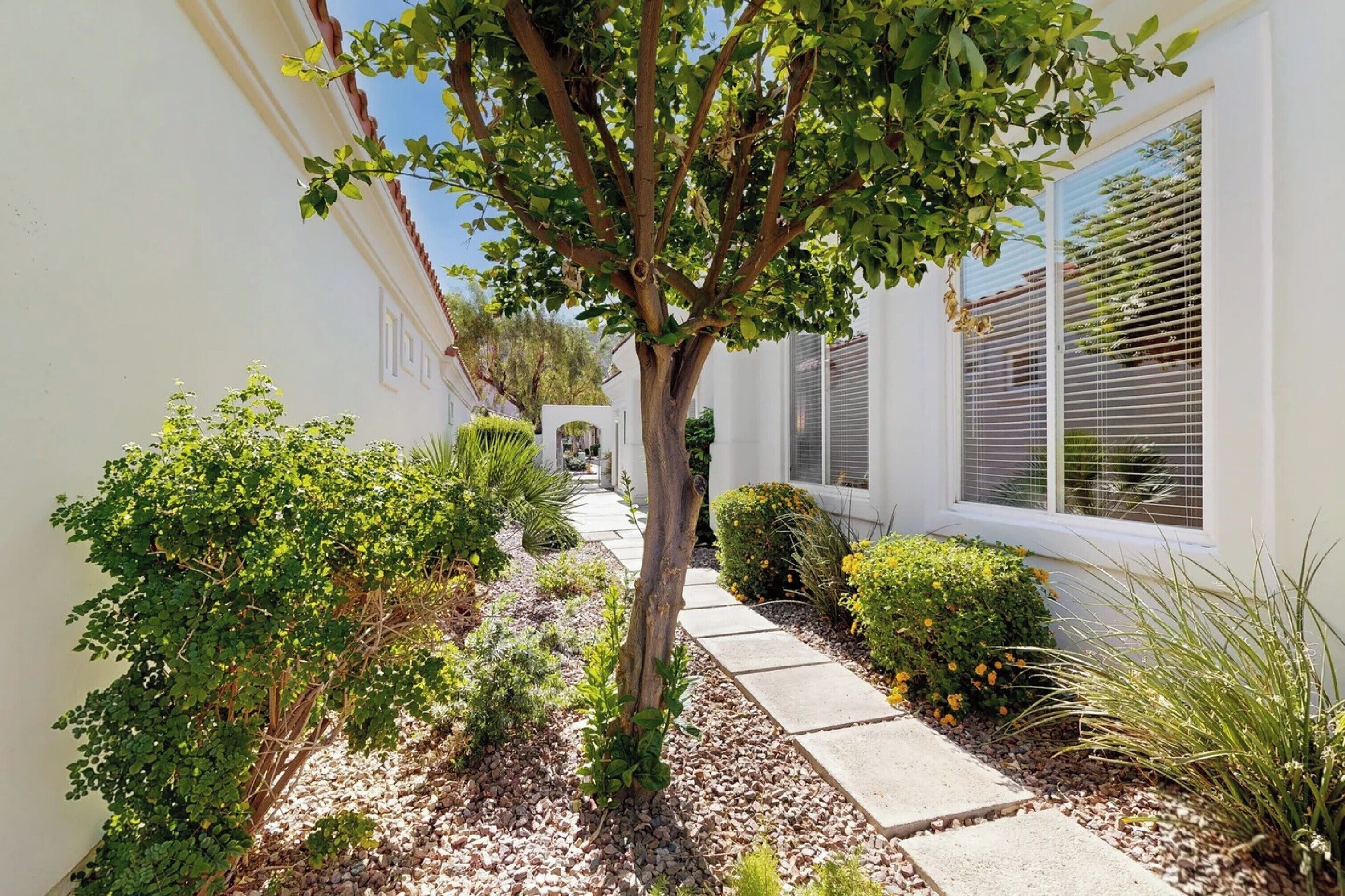 A pathway leading to a building with white walls and a tree-lined entrance.