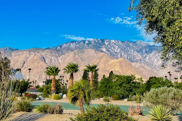 Sports court - Ground-floor condo with private hot tub, 8 on-site pools, & tennis/pickleball (Palm Springs)