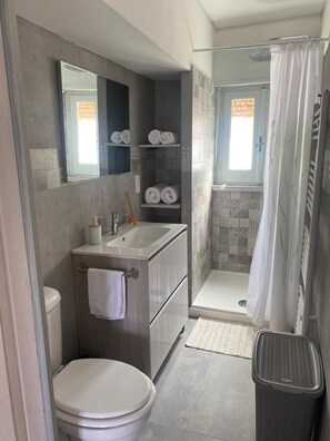 Douche, sèche-cheveux, serviettes fournies, papier toilette